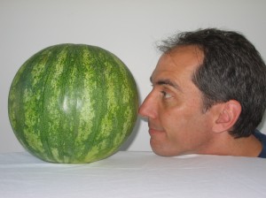 As big as a melon and just as quishy inside