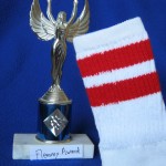 The prestigious My Odd Sock Flemmy Award