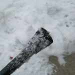 A snowy-tipped cane