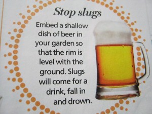 Slug it down!