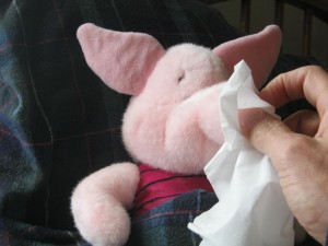 A boogery pig nose.