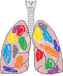 The lungs of a color runner.