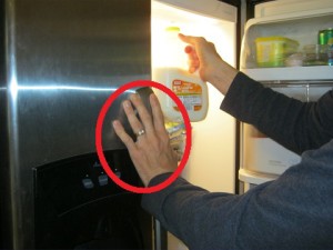Nice paw-print you leave on the fridge!